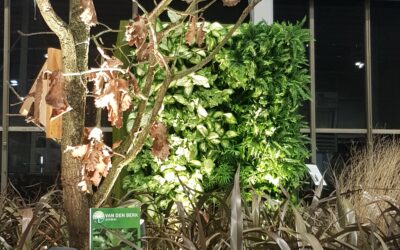 Smartlight na targach Gardenia 2020 razem z OSTO